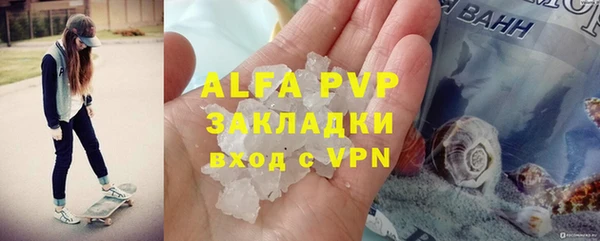 стаф Волоколамск