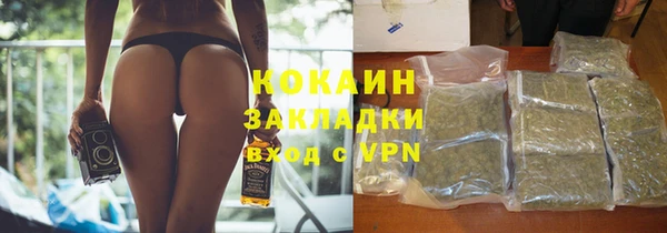 шишки Покачи