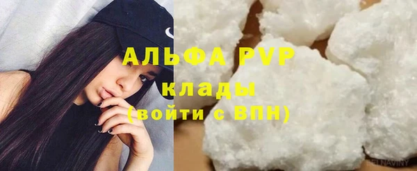 стаф Волоколамск