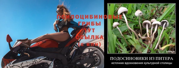 стаф Волоколамск