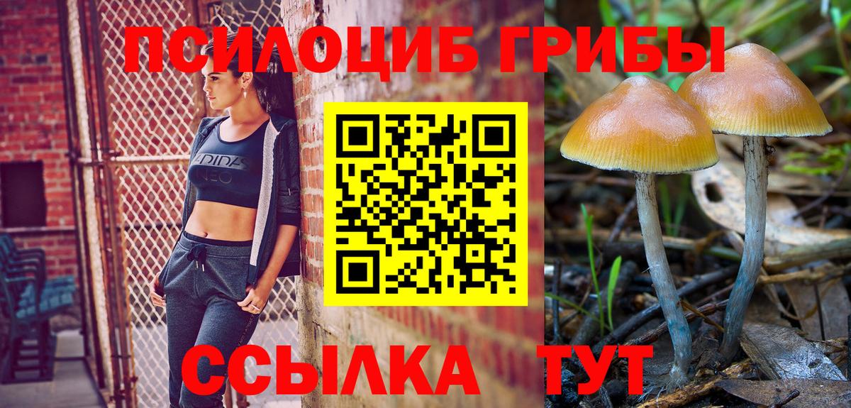 Нижнекамск  наркота  Вход с VPN  Галлюциногенные грибы Cubensis 
